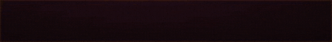 Banner 1